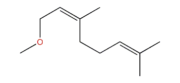 (Z)-1-Methoxy-3,7-dimethyl-2,6-octadiene
